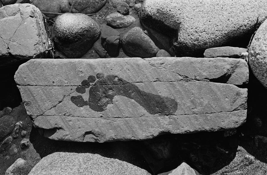 Ciągłość nieskończoności