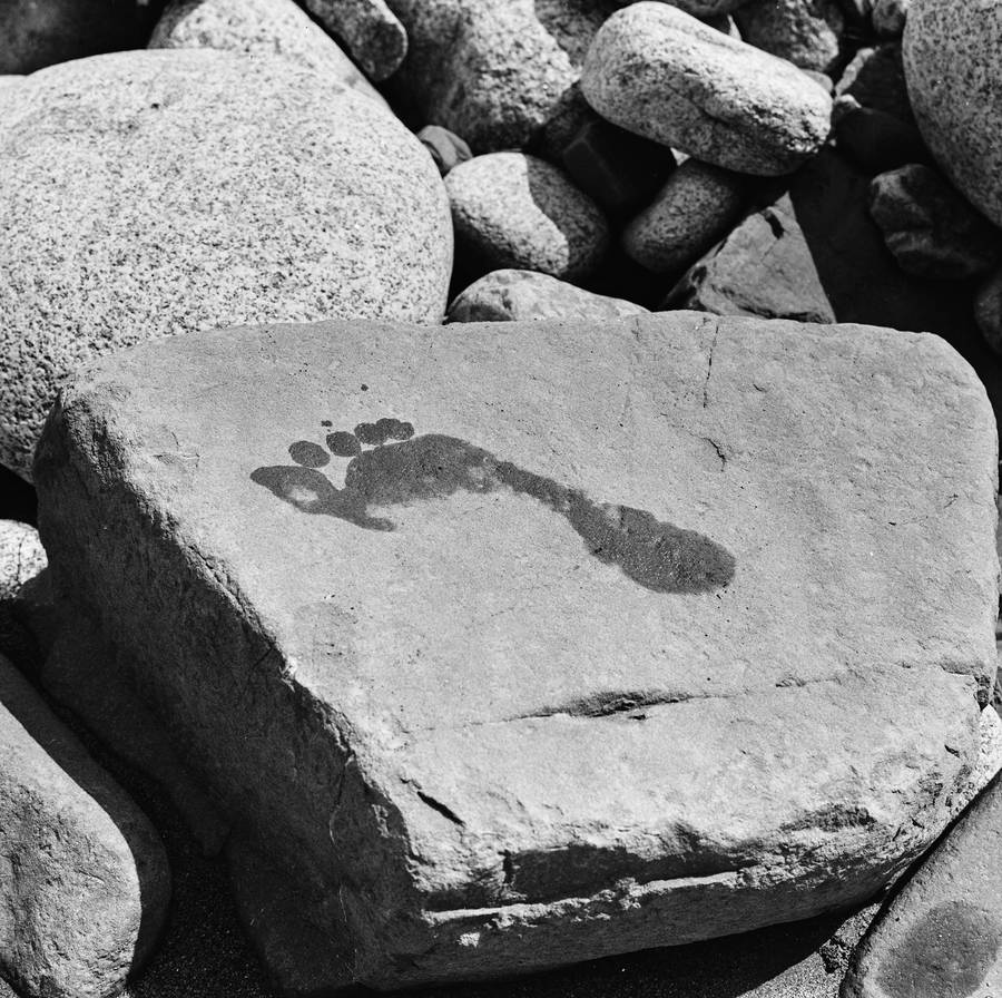 Ciągłość nieskończoności