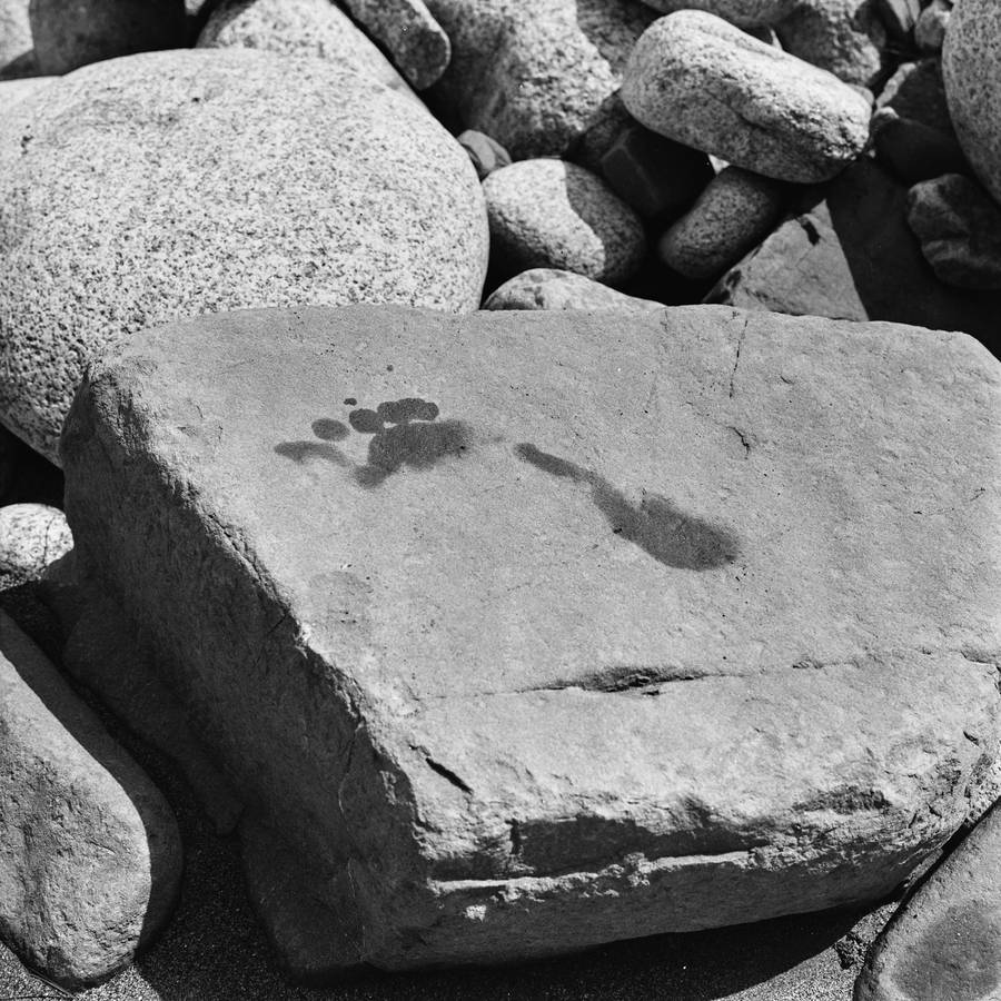 Ciągłość nieskończoności