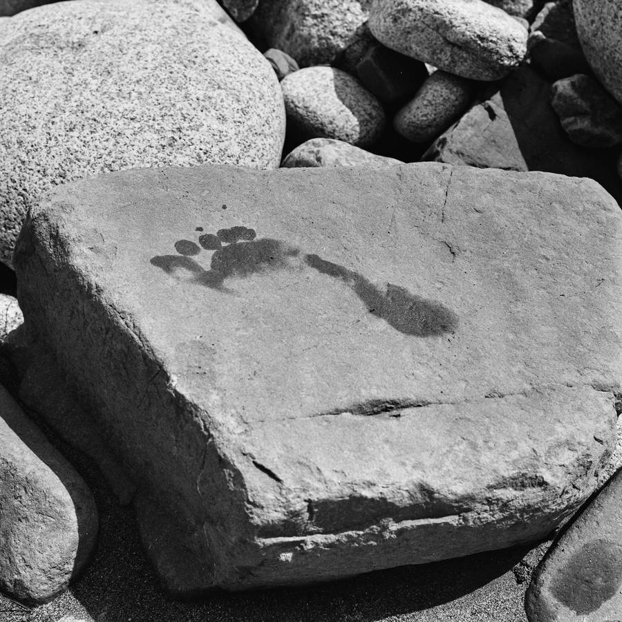 Ciągłość nieskończoności