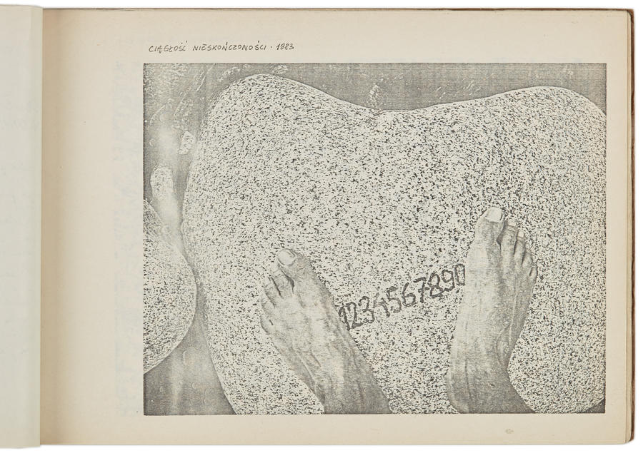 Portfolio Zygmunta Rytki