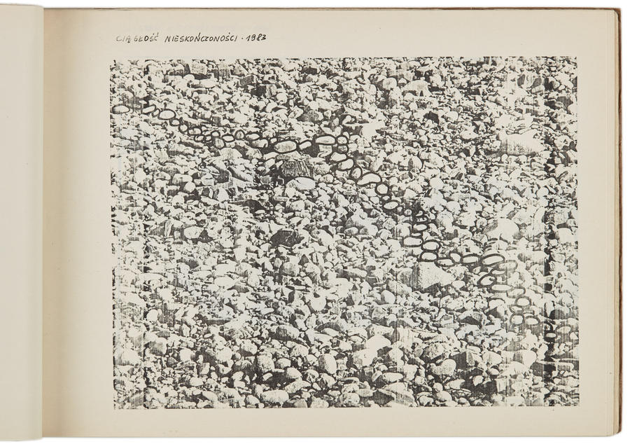 Portfolio Zygmunta Rytki