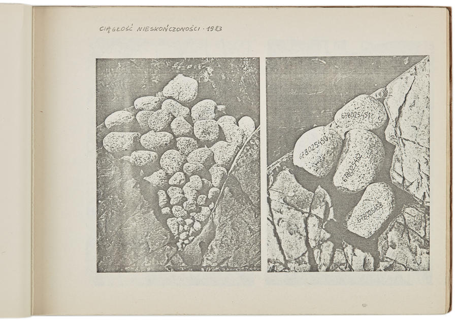 Portfolio Zygmunta Rytki