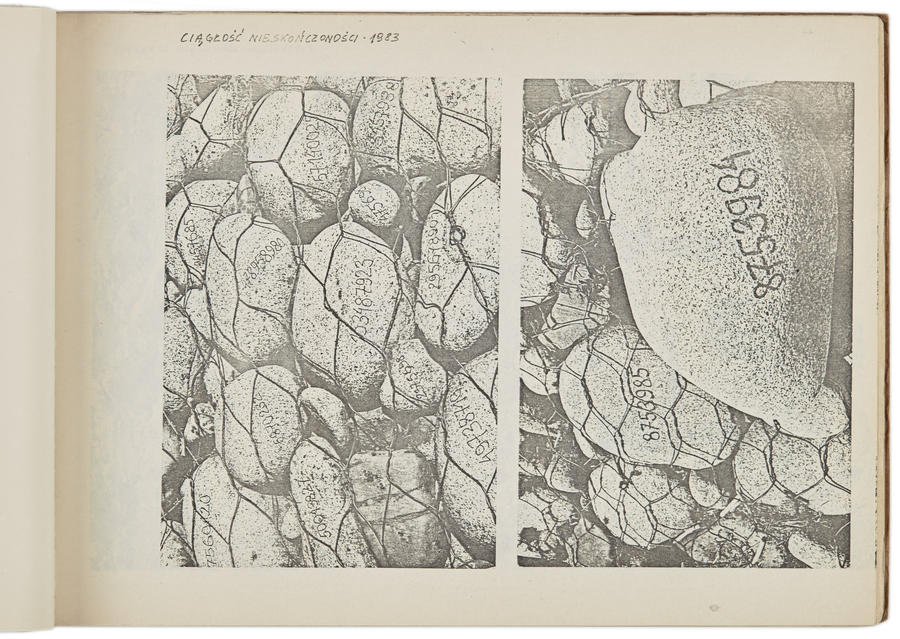 Portfolio Zygmunta Rytki