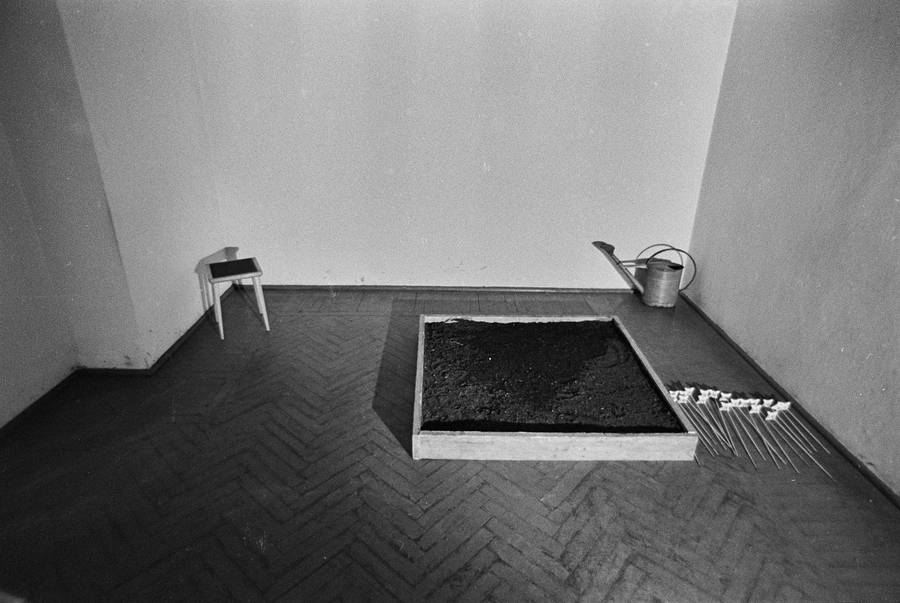 Krzysztof Zarębski, performans &bdquo;Kwiaty&rdquo;, Liga Kobiet, Warszawa, 1971