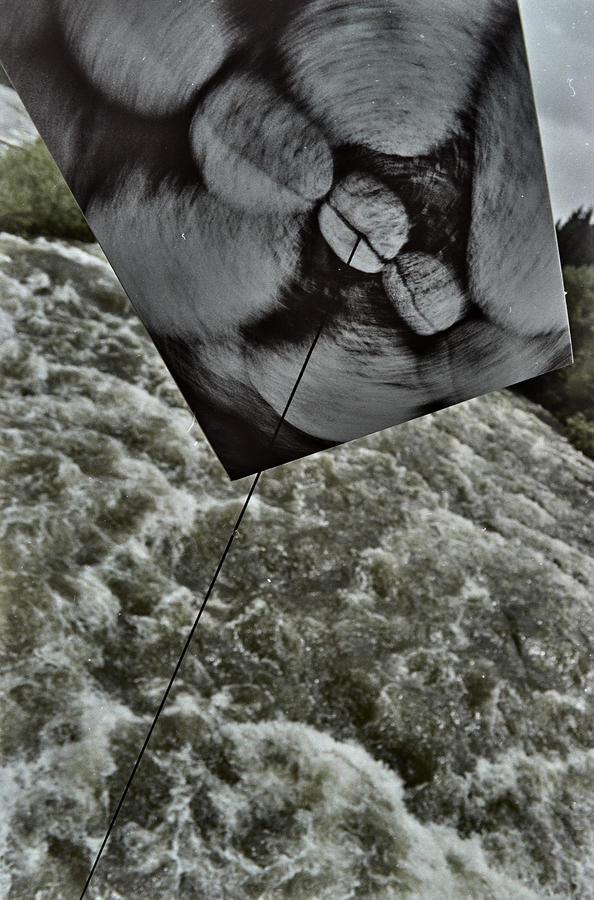 Obiekty dynamiczne - Białka