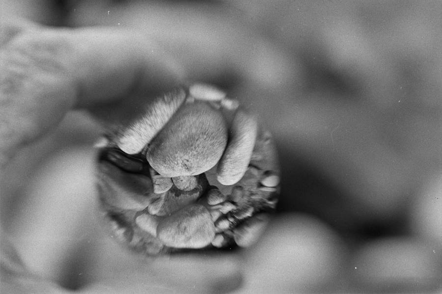 Przestrzeń neuronowo-optyczna