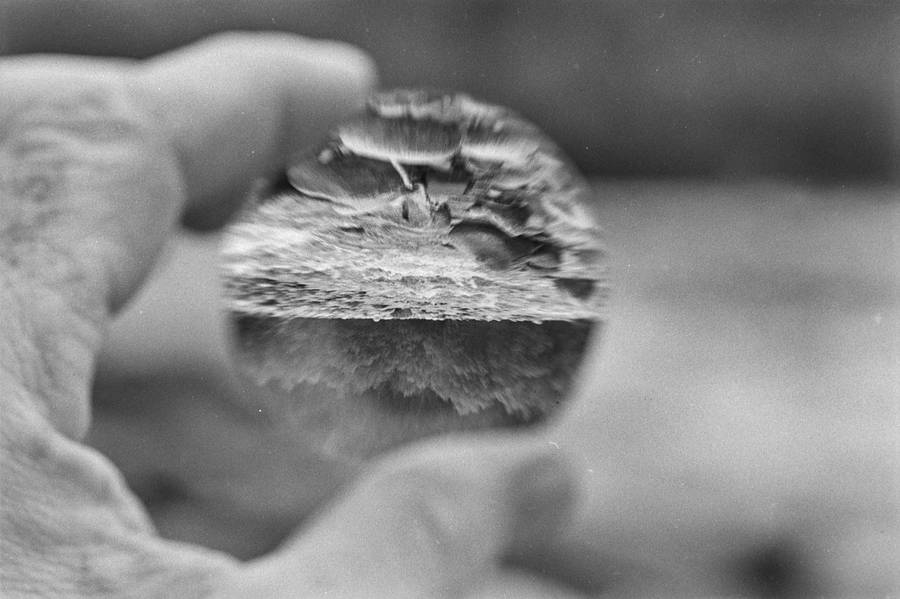 Przestrzeń neuronowo-optyczna