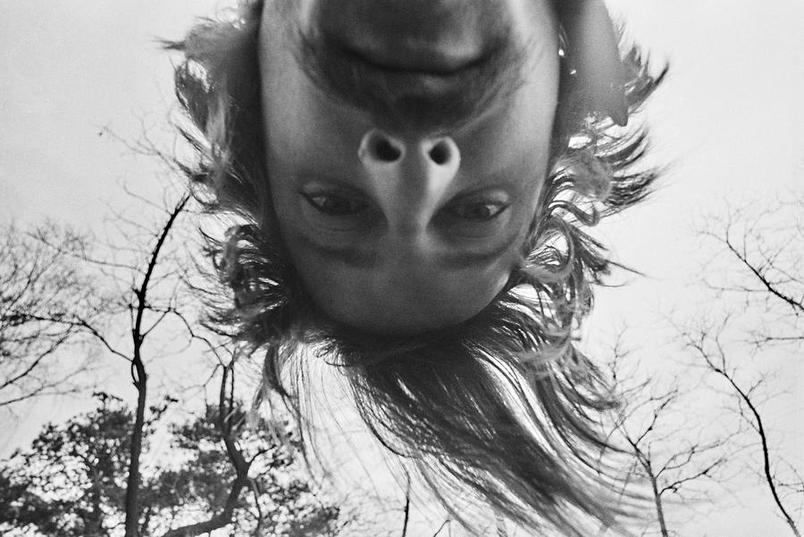 Portrety i autoportrety