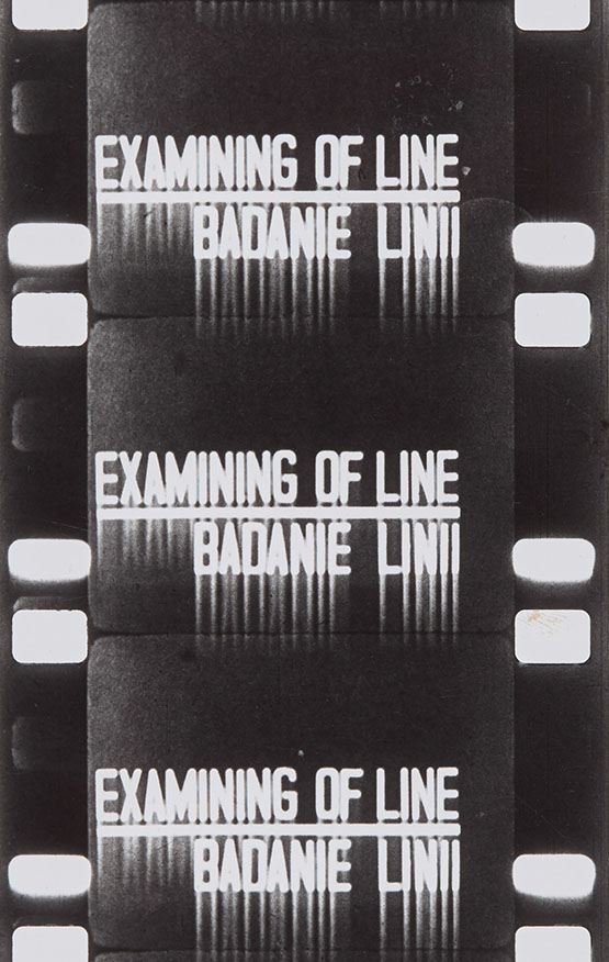Badanie linii, 1973