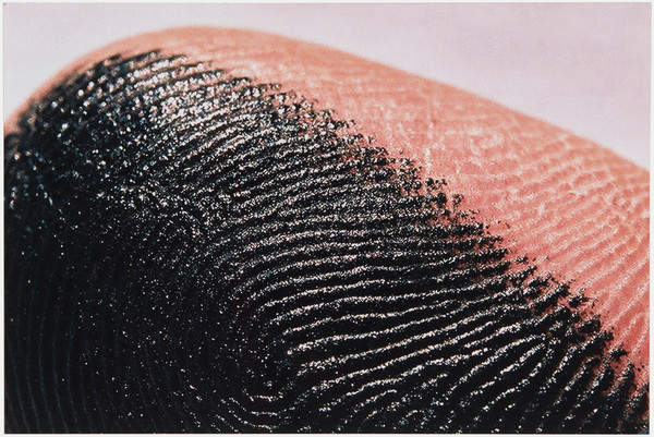 Autoportret, 2003-2004