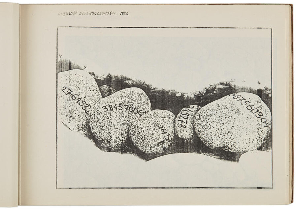 Portfolio of Zygmunt Rytka