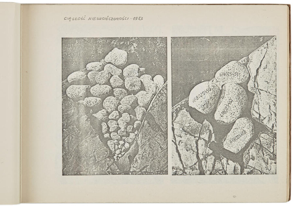 Portfolio Zygmunta Rytki