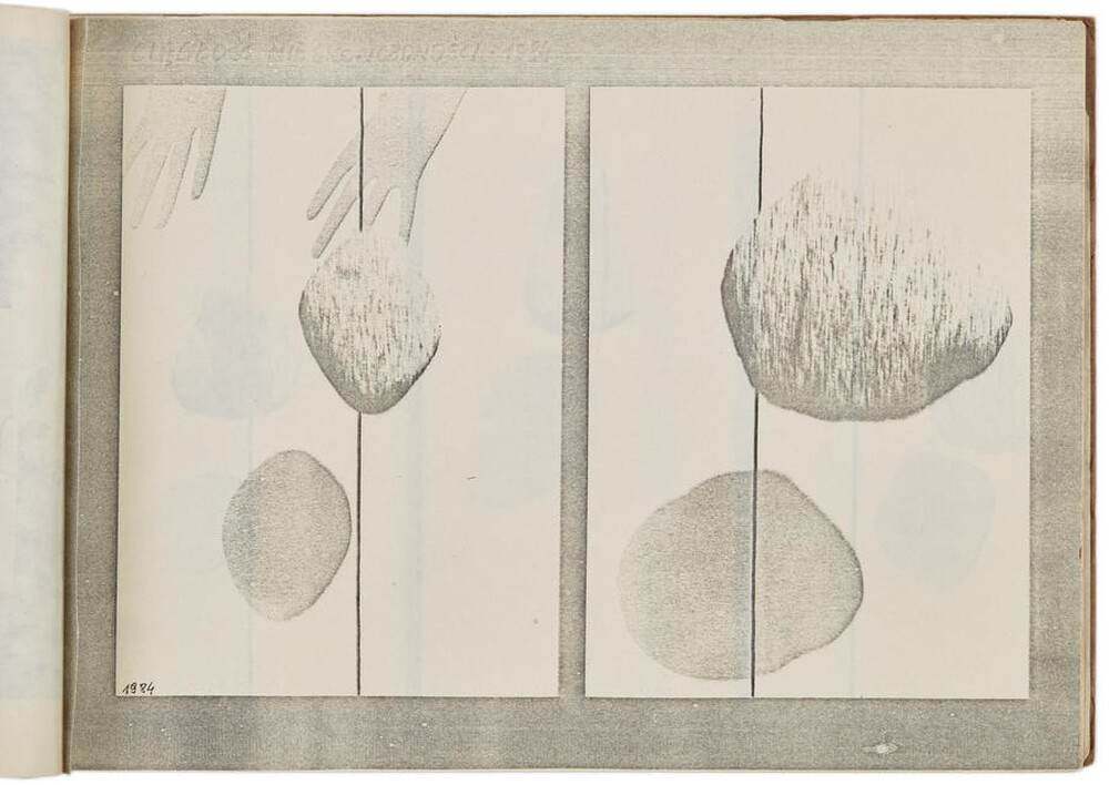 Portfolio Zygmunta Rytki