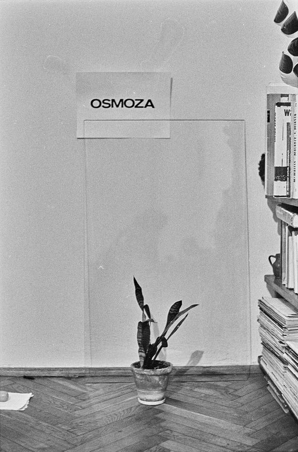 &bdquo;Żywa galeria&rdquo;, performance Krzysztofa Zarębskiego, ok. 1974