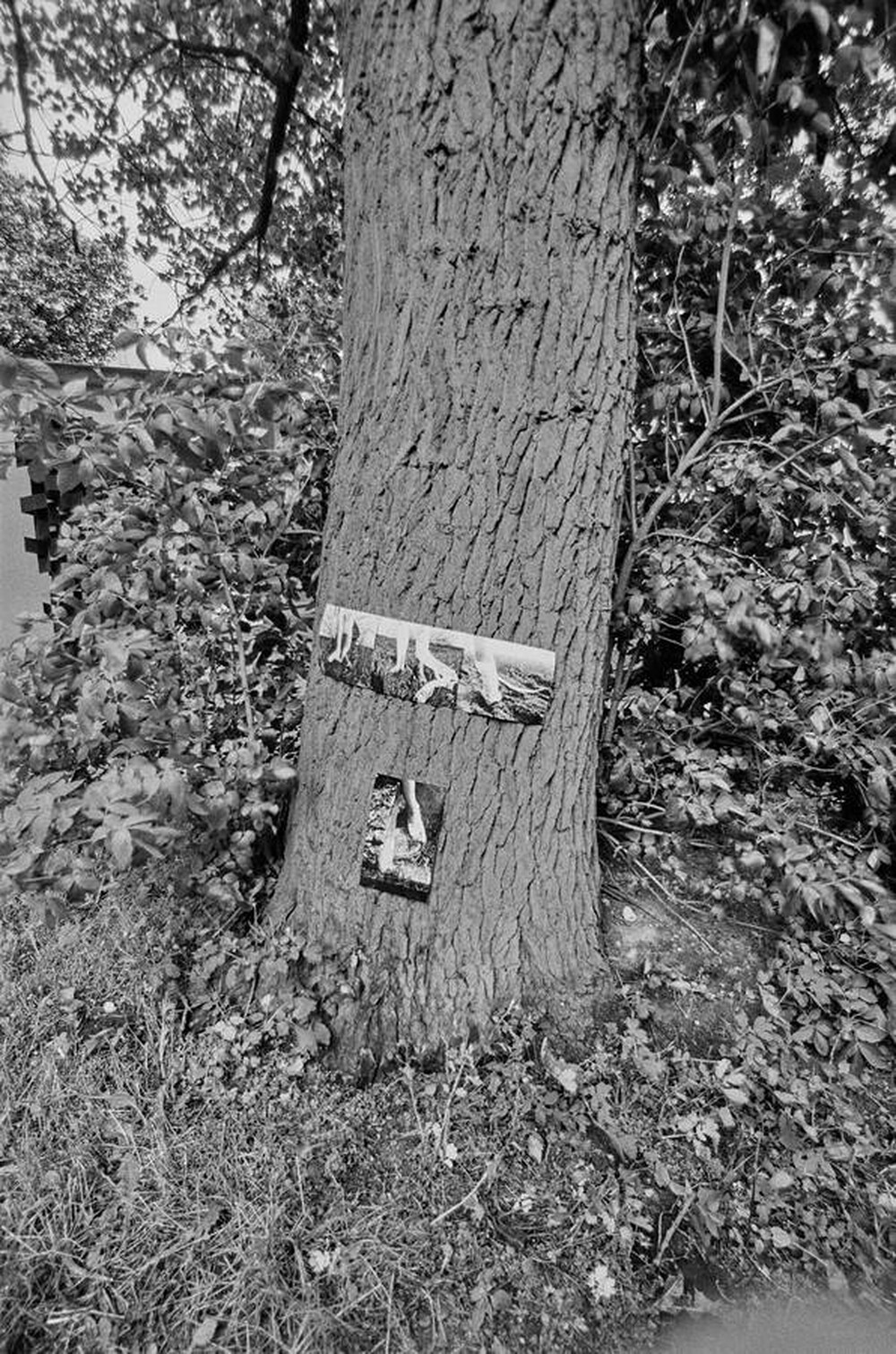  V Biennale Form Przestrzennych &bdquo;Kinolabolatorium&rdquo;, Galeria EL, Elbląg, 1973