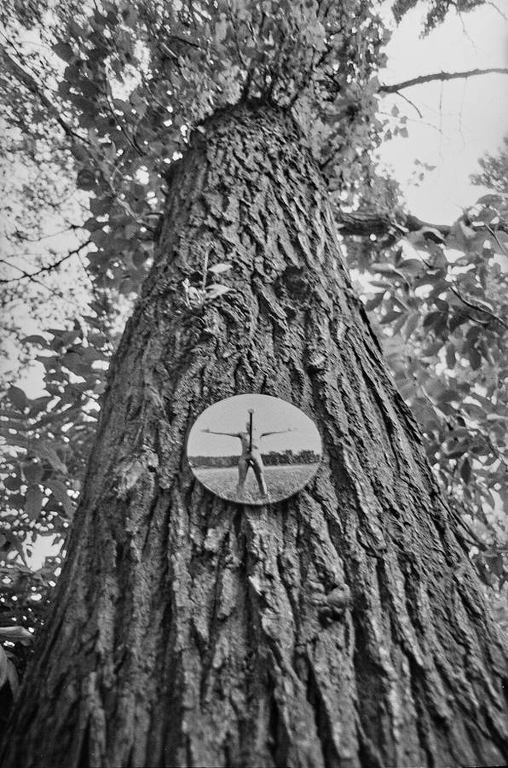  V Biennale Form Przestrzennych &bdquo;Kinolabolatorium&rdquo;, Galeria EL, Elbląg, 1973