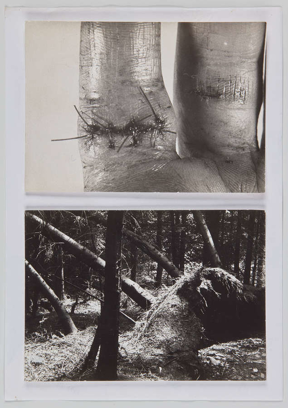 Teczka &bdquo;Ja&rdquo;