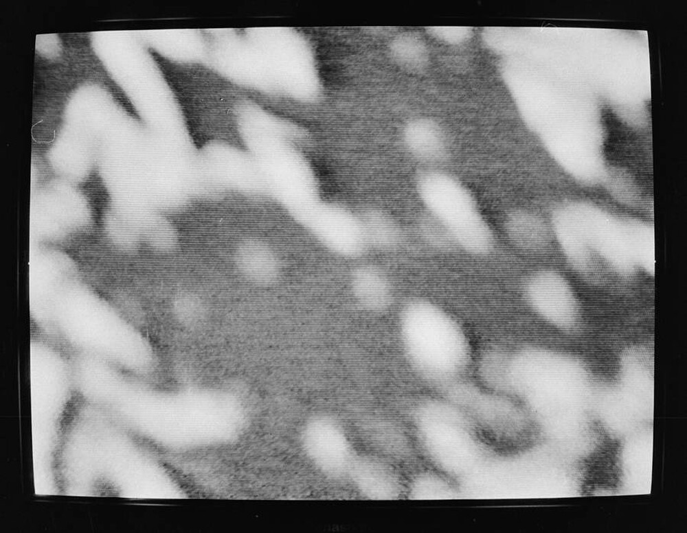 Momentary Object