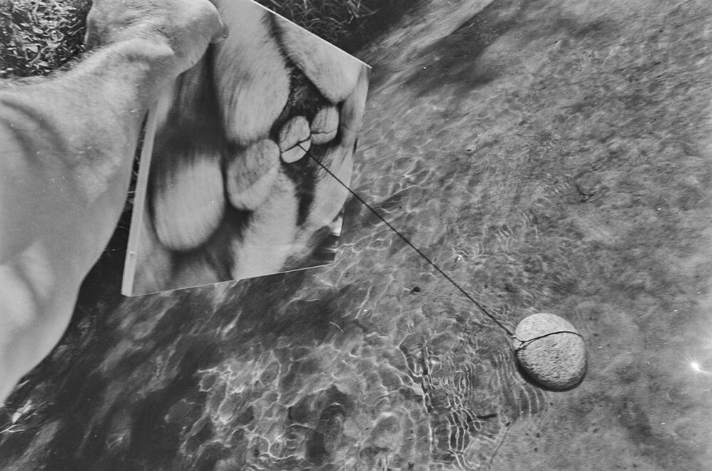 Obiekty dynamiczne - Świder