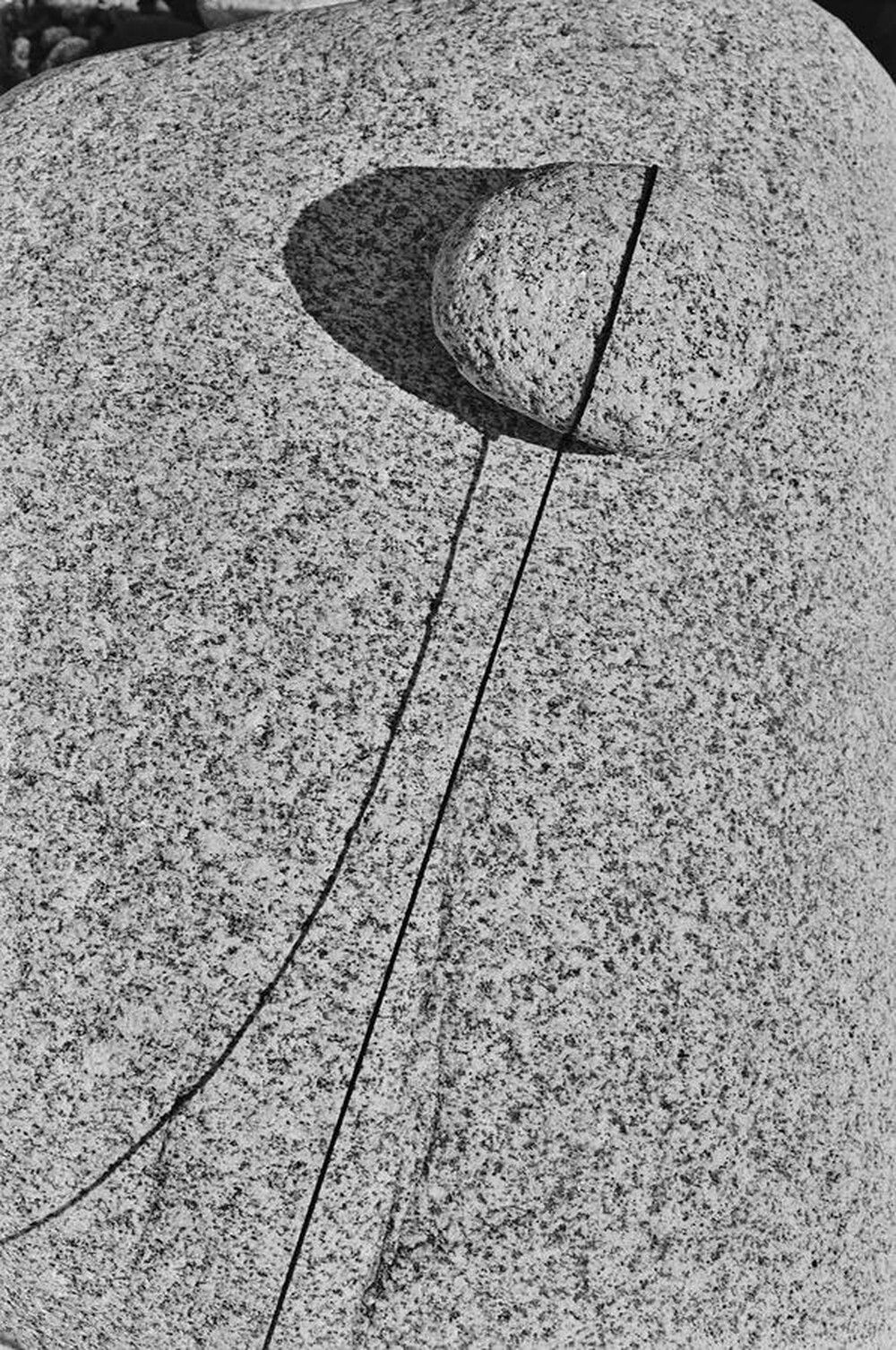 Dynamic Object - The Białka River