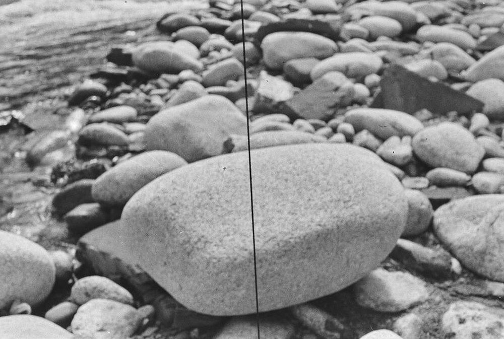 Dynamic Object - The Białka River