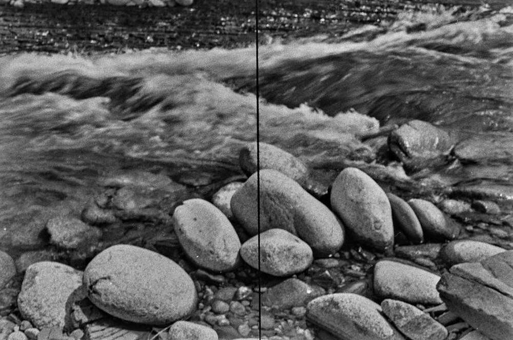 Obiekty dynamiczne - Białka