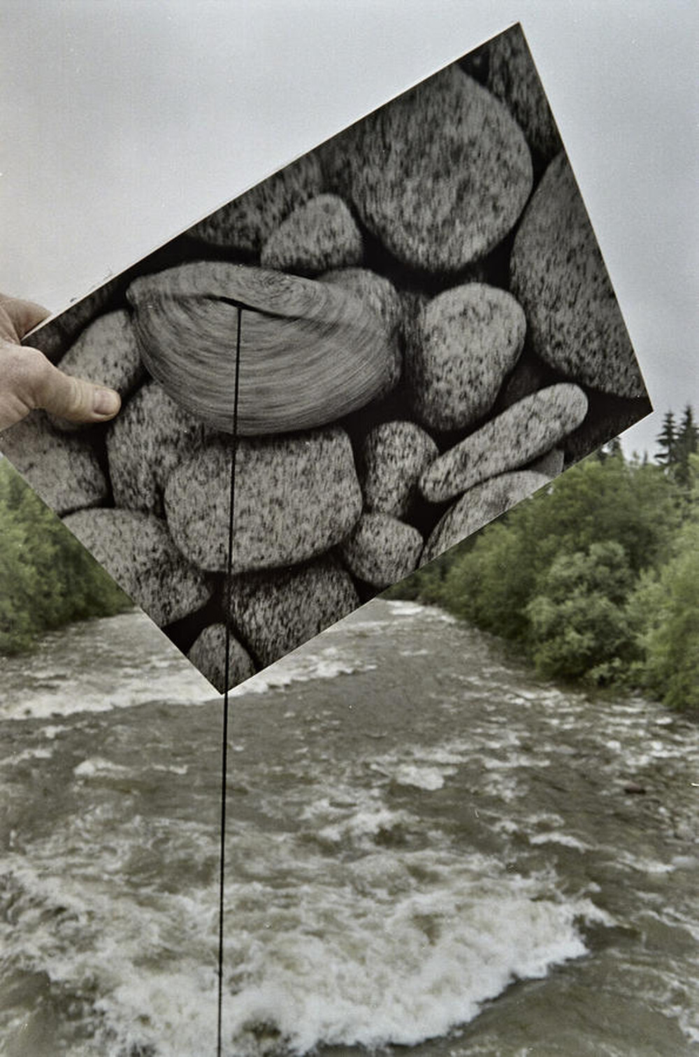 Obiekty dynamiczne - Białka