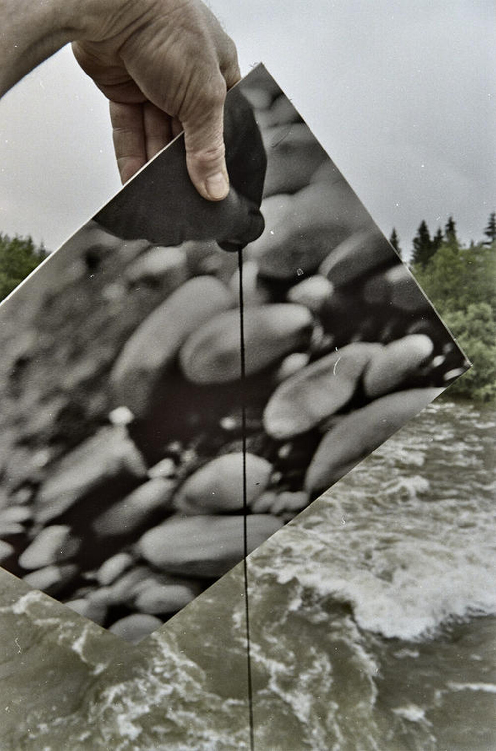 Obiekty dynamiczne - Białka