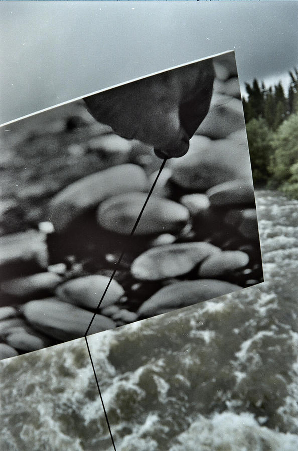 Obiekty dynamiczne - Białka