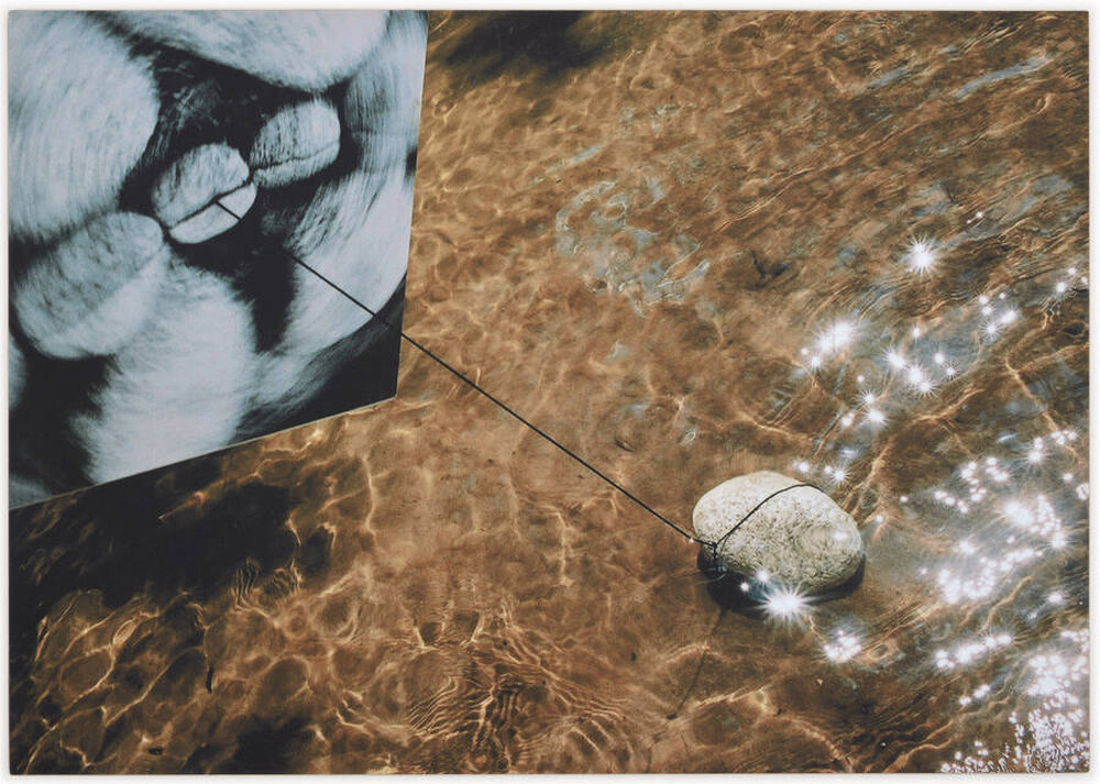 Dynamic Object - The Świder River