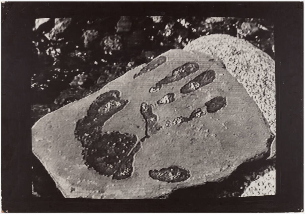 Impermanent Object