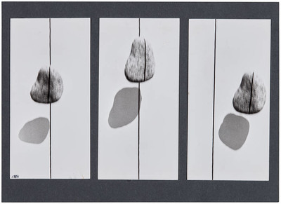 Ciągłość nieskończoności