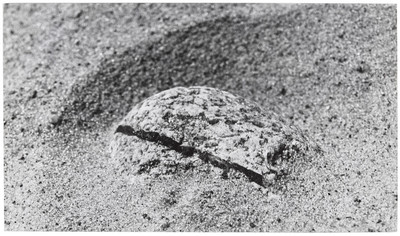 Ciągłość nieskończoności