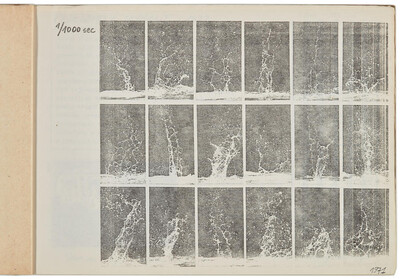 Portfolio Zygmunta Rytki