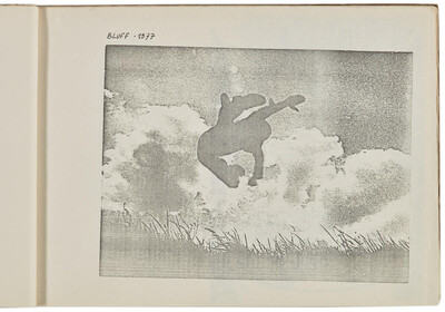 Portfolio Zygmunta Rytki