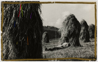 "Complementary Pictures" by Zygmunt Rytka postcard