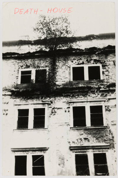 Postcard by Krzysztof Jurecki with New Year's greetings for Zygmunt Rytka, sent from Krakow