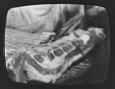 Photovision
