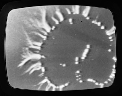 Photovision