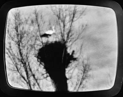 Photovision