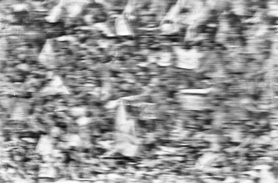 Photovision