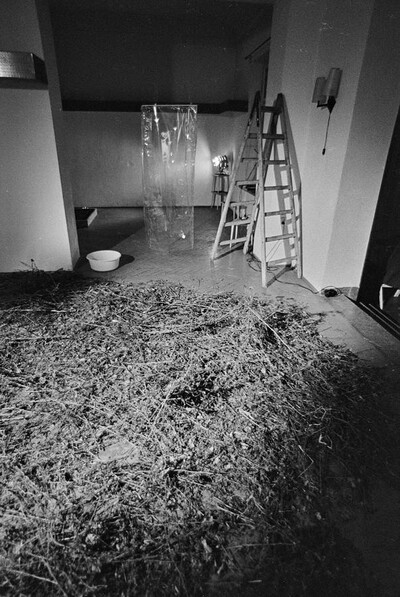 Krzysztof Zarębski, performance of "Flowers", Women's League Club, Warsaw, 1971
