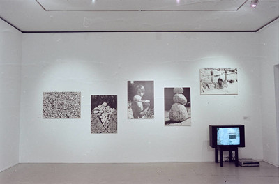 Zygmunt Rytka, &bdquo;Ciągłość nieskończoności&rdquo;, Muzeum Sztuki w Łodzi, 2000