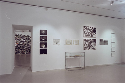 Zygmunt Rytka, &bdquo;Ciągłość nieskończoności&rdquo;, Muzeum Sztuki w Łodzi, 2000