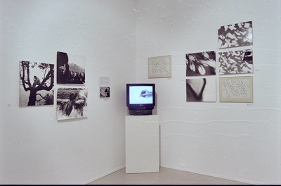 Zygmunt Rytka, &bdquo;Ciągłość nieskończoności&rdquo;, Muzeum Sztuki w Łodzi, 2000