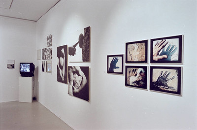 Zygmunt Rytka, &bdquo;Ciągłość nieskończoności&rdquo;, Muzeum Sztuki w Łodzi, 2000