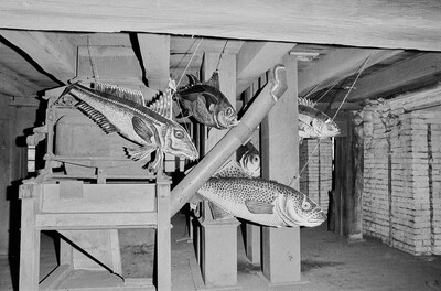 Plener &bdquo;Zapraszamy do pracy&rdquo;, Karlino, 1987