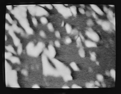 Momentary Object