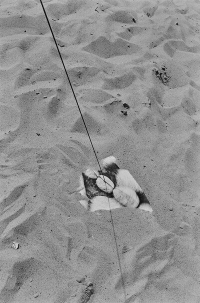 Obiekty dynamiczne - Świder